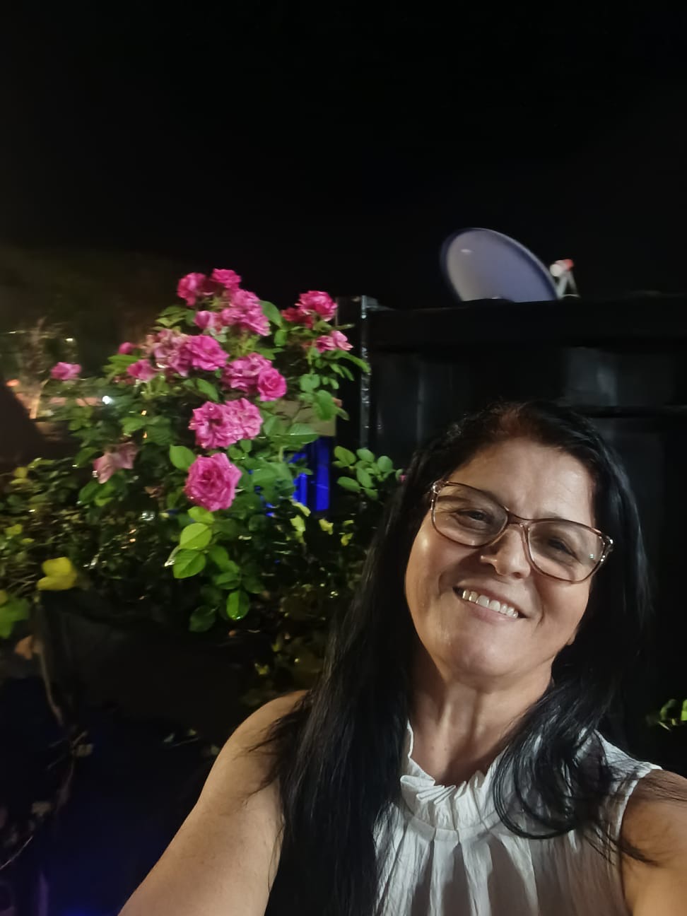 Upload De Arquivo: 3350a1af 7a32 4084 978c 58adf6878837